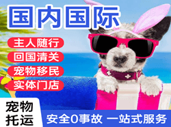 杭州空运代理国际宠物托运 【国